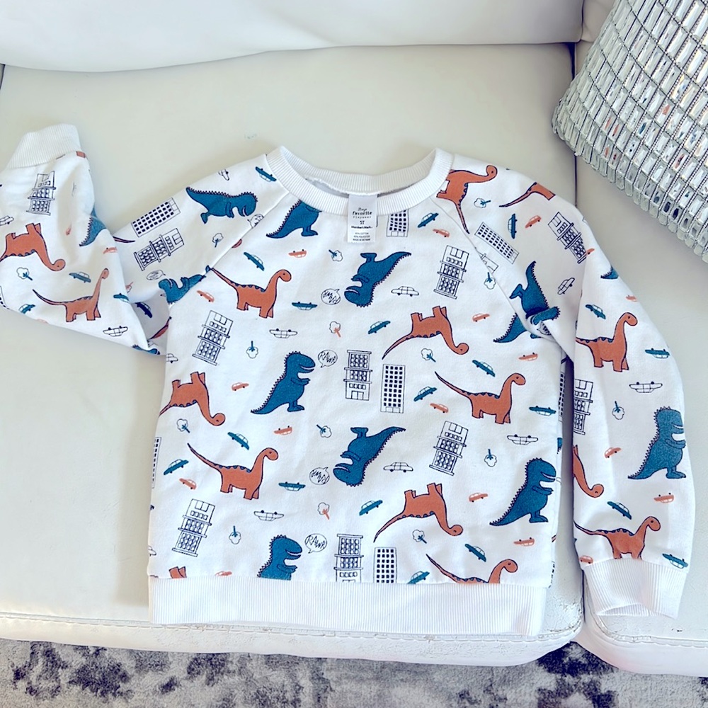 Boy dinosaur rawr long sleeve